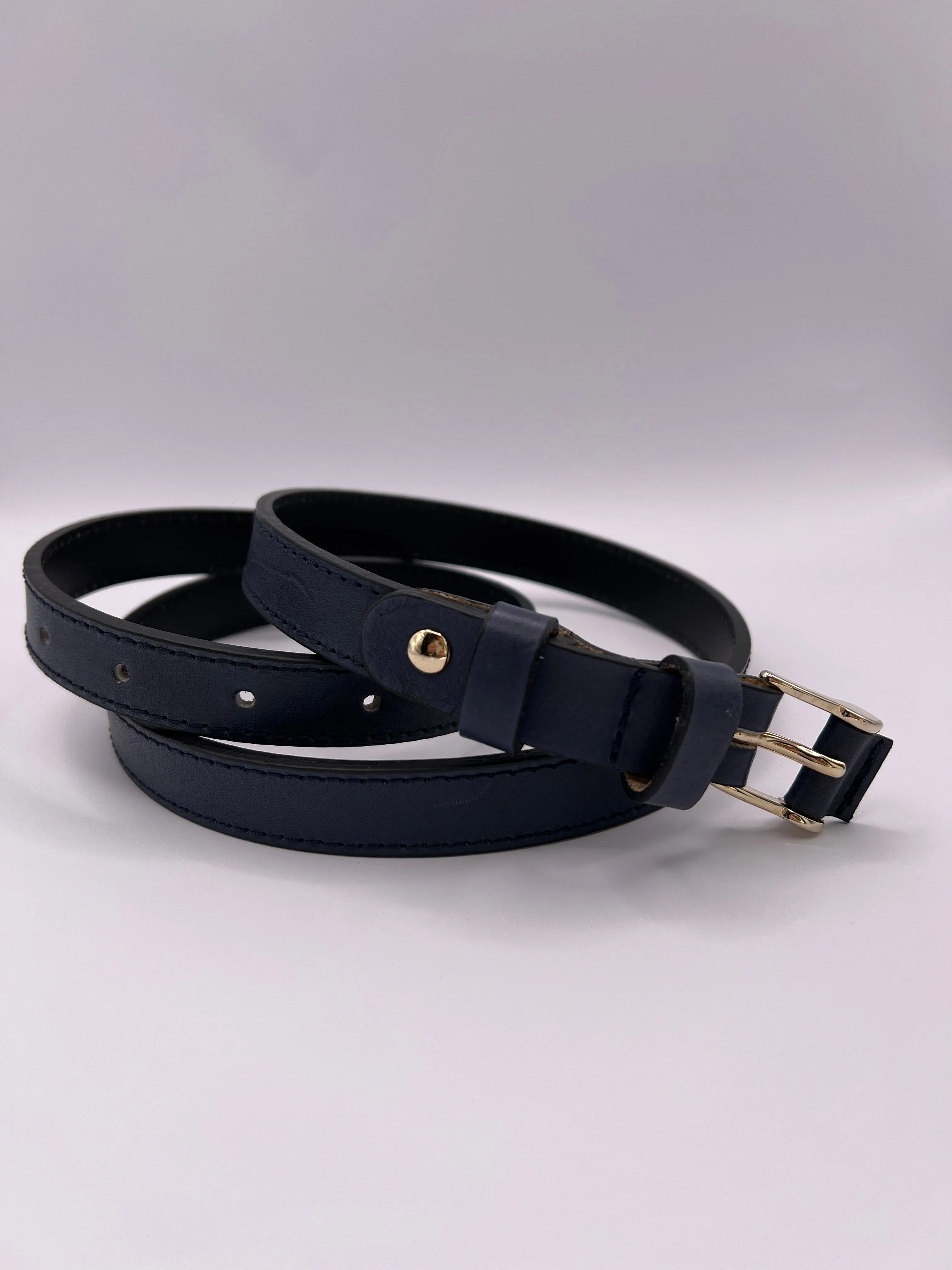 Blondish Stylish Double Loop Blue Belt with Gold Adornment for Women